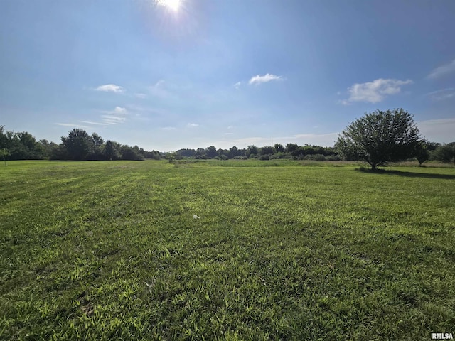 17286 N Idlewood Ln, Mount Vernon, IL 62864 - photo 16
