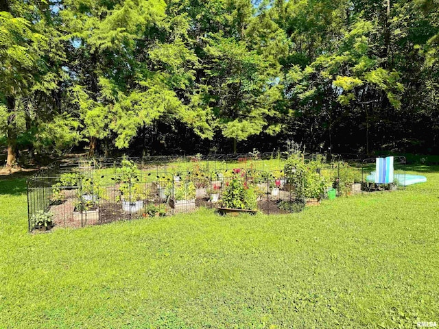 1125 Kaolin Rd, Cobden, IL 62920 - photo 14