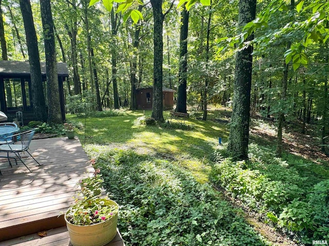 1125 Kaolin Rd, Cobden, IL 62920 - photo 22
