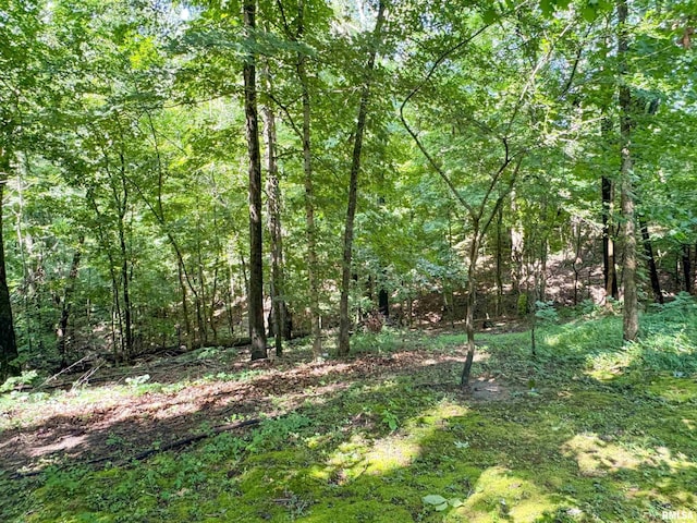 1125 Kaolin Rd, Cobden, IL 62920 - photo 30