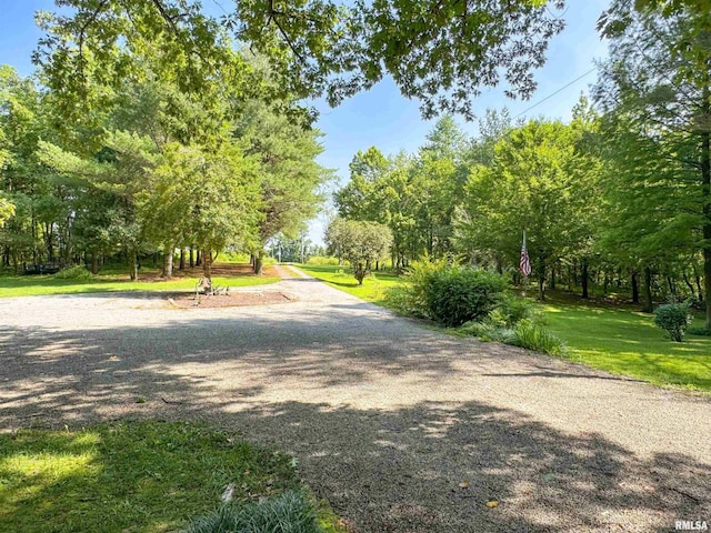1125 Kaolin Rd, Cobden, IL 62920 - photo 33