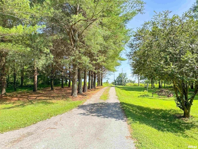 1125 Kaolin Rd, Cobden, IL 62920 - photo 34