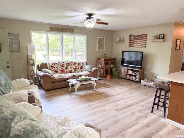 1125 Kaolin Rd, Cobden, IL 62920 - photo 41