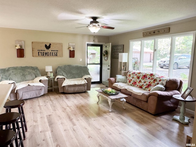 1125 Kaolin Rd, Cobden, IL 62920 - photo 42