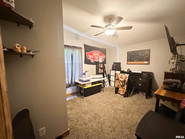 1733 Old Marion Rd, West Frankfort, IL 62896 - photo 19