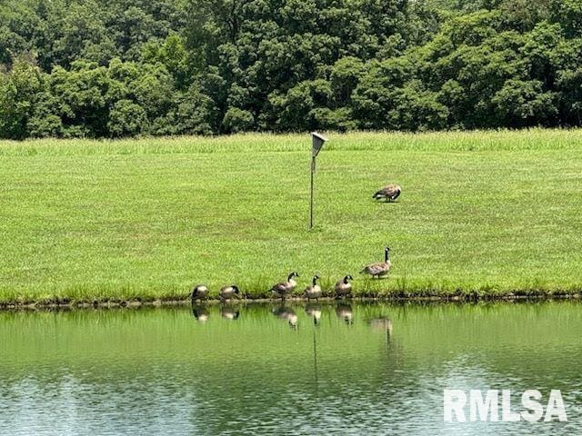 14290 E Windsong Rd, Mount Vernon, IL 62864 - photo 11