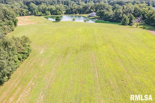 14290 E Windsong Rd, Mount Vernon, IL 62864 - photo 16