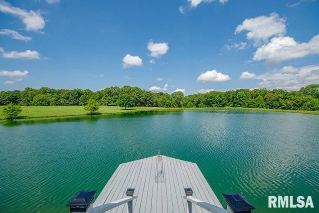 14290 E Windsong Rd, Mount Vernon, IL 62864 - photo 8