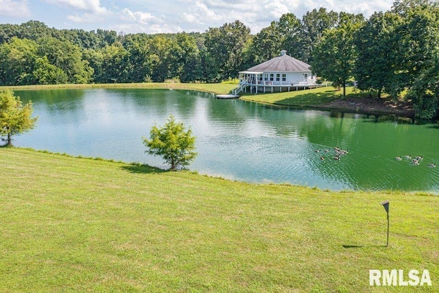 14290 E Windsong Rd, Mount Vernon, IL 62864 - photo 9