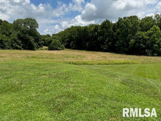 14290 E Windsong Rd, Mount Vernon, IL 62864 - photo 10