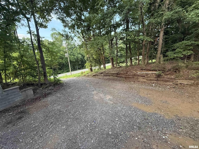 9049 Grassy Rd, Marion, IL 62959 - photo 37