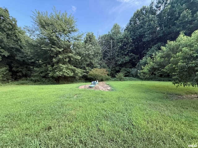 9049 Grassy Rd, Marion, IL 62959 - photo 39