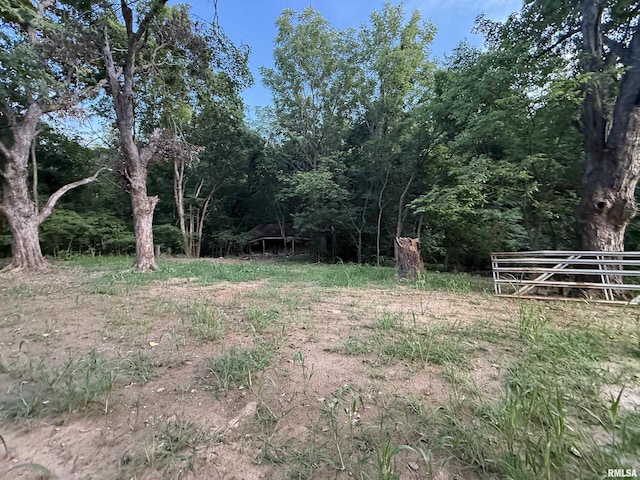 9049 Grassy Rd, Marion, IL 62959 - photo 43