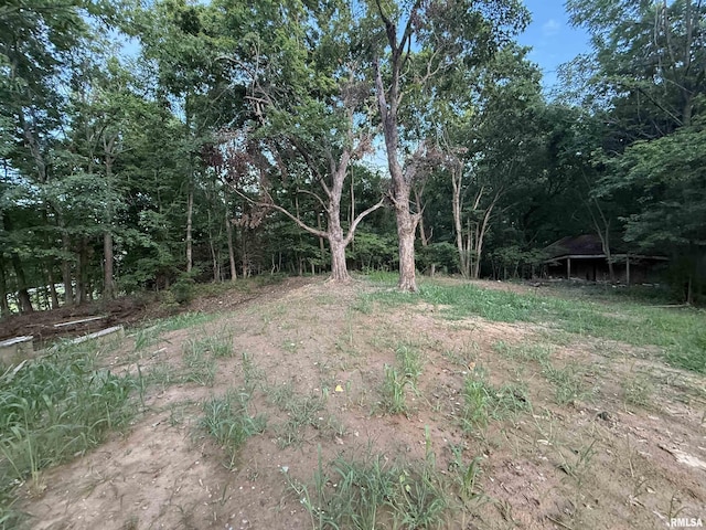 9049 Grassy Rd, Marion, IL 62959 - photo 45