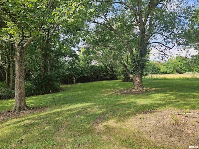 11340 Zeigler Mine Rd, Sparta, IL 62286 - photo 5