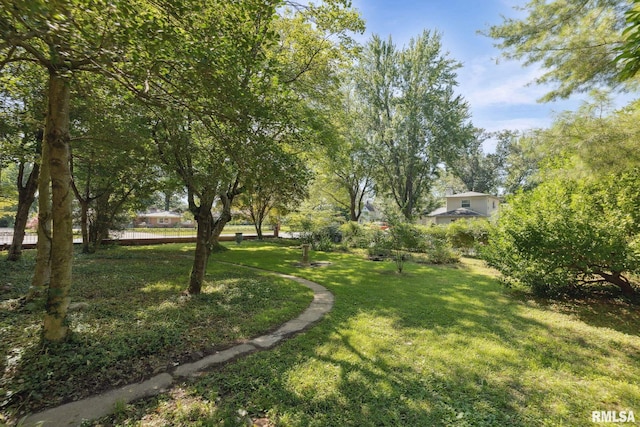 636 S Lincoln Blvd, Centralia, IL 62801 - photo 10