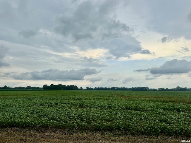 000 Zion Hill Rd, Centralia, IL 62801 - photo 2