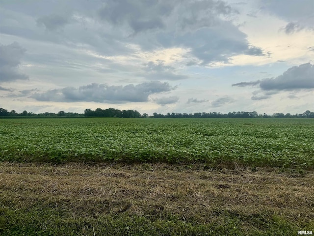 000 Zion Hill Rd, Centralia, IL 62801 - photo 3