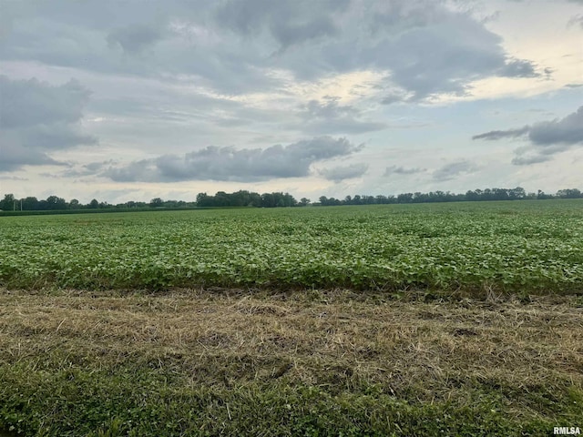 000 Zion Hill Rd, Centralia, IL 62801 - photo 4