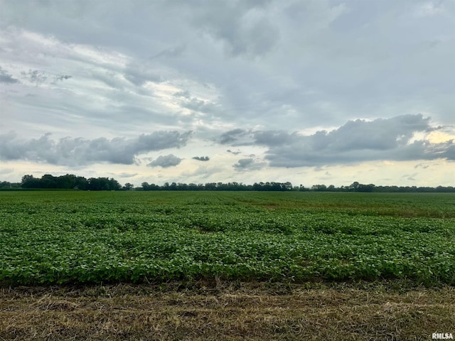 000 Zion Hill Rd, Centralia, IL 62801 - photo 5