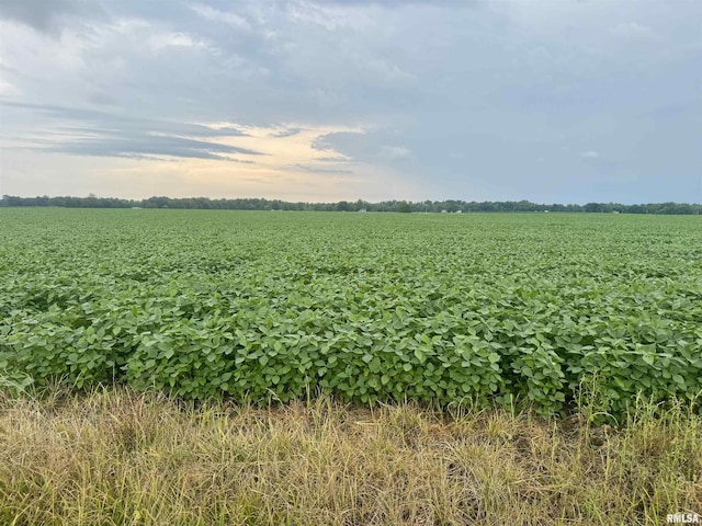 000 W 17th St, Centralia, IL 62801 - photo 2