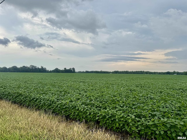 000 W 17th St, Centralia, IL 62801 - photo 4