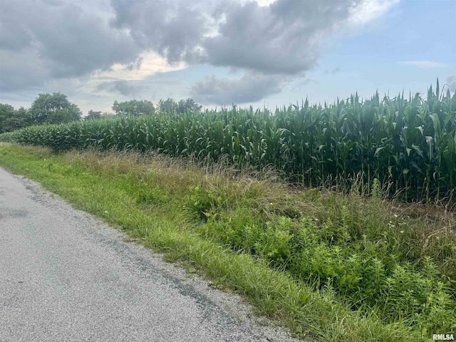 000 W 17th St, Centralia, IL 62801 - photo 6