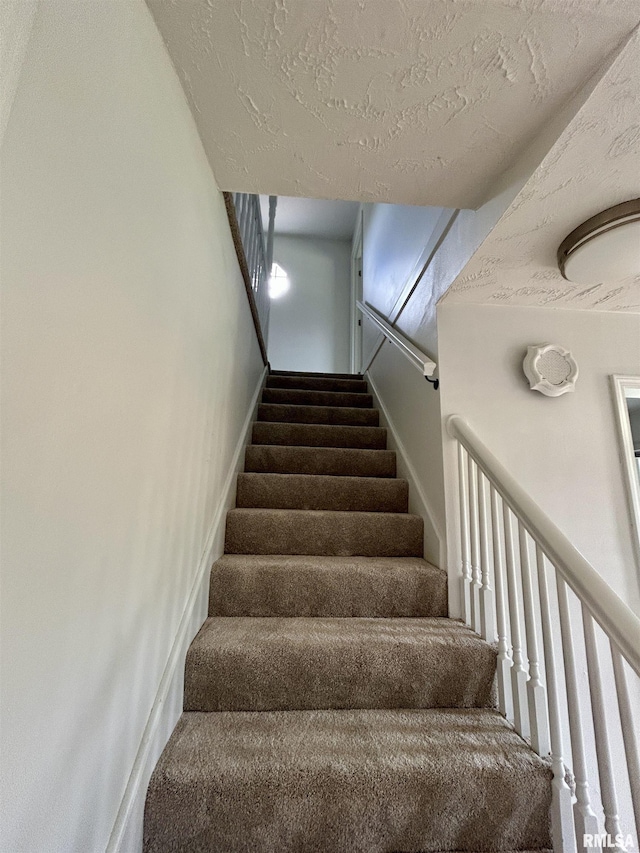 317 S Lu Ct, Carbondale, IL 62901 - photo 30