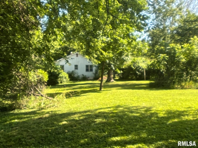 1309 W Sycamore St, Carbondale, IL 62901 - photo 11