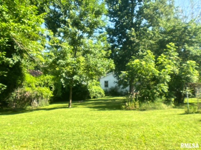1309 W Sycamore St, Carbondale, IL 62901 - photo 16