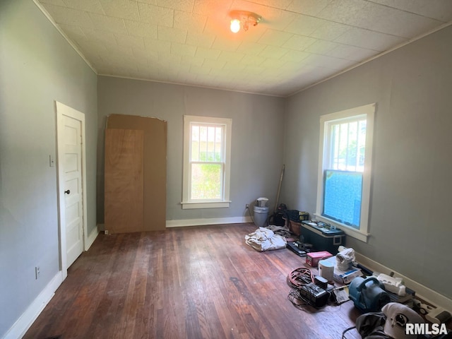 1309 W Sycamore St, Carbondale, IL 62901 - photo 7