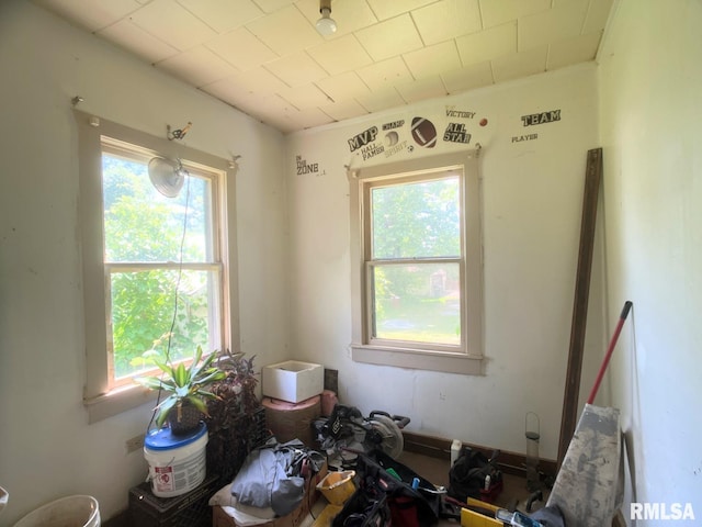 1309 W Sycamore St, Carbondale, IL 62901 - photo 8