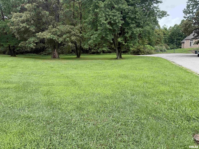 TBD Kokopelli Dr, Marion, IL 62959 - photo 1