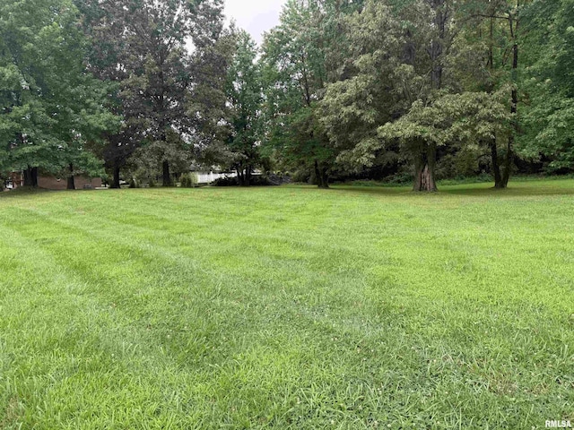 TBD Kokopelli Dr, Marion, IL 62959 - photo 2