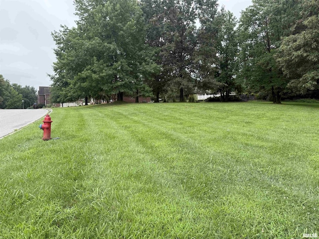TBD Kokopelli Dr, Marion, IL 62959 - photo 4