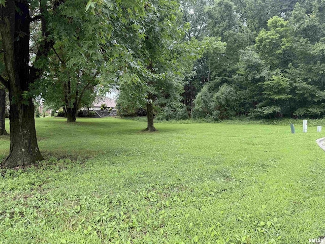 TBD Kokopelli Dr, Marion, IL 62959 - photo 5