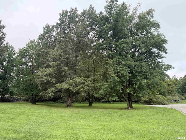 TBD Kokopelli Dr, Marion, IL 62959 - photo 6