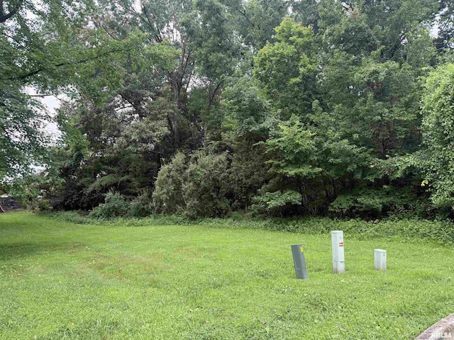 TBD Kokopelli Dr, Marion, IL 62959 - photo 8