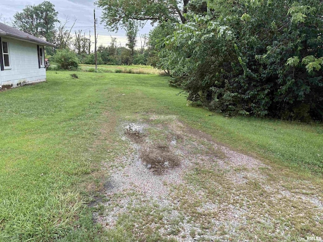 00 N Randolph Dr, Centralia, IL 62801 - photo 2