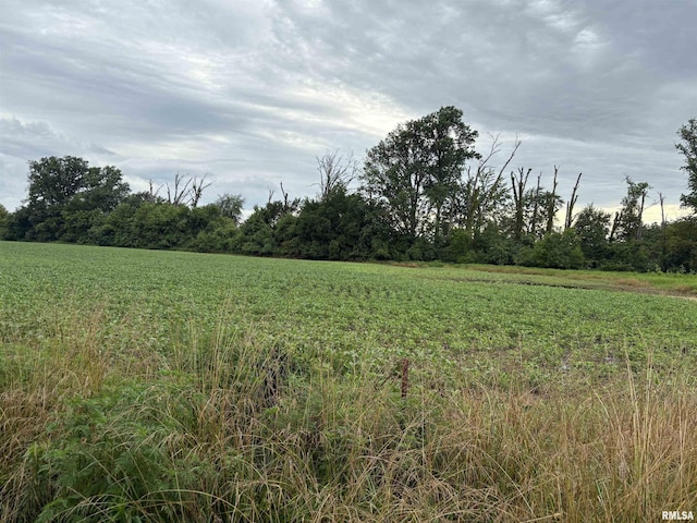 00 N Randolph Dr, Centralia, IL 62801 - photo 3