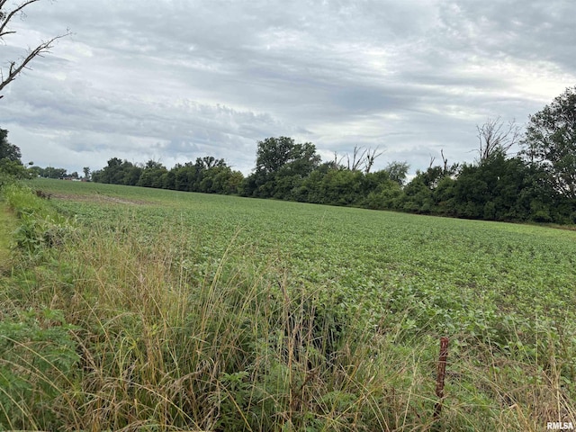 00 N Randolph Dr, Centralia, IL 62801 - photo 4