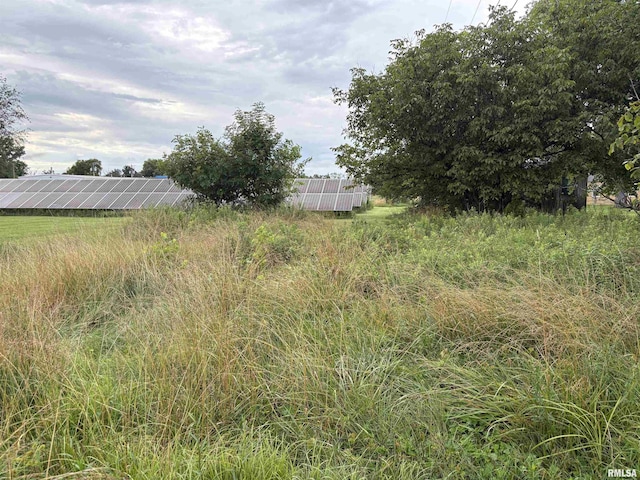 00 N Randolph Dr, Centralia, IL 62801 - photo 5