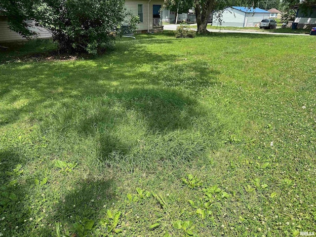 603 S Jesse St, Christopher, IL 62822 - photo 3