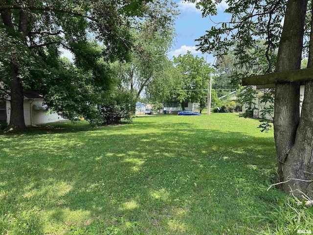 603 S Jesse St, Christopher, IL 62822 - photo 4