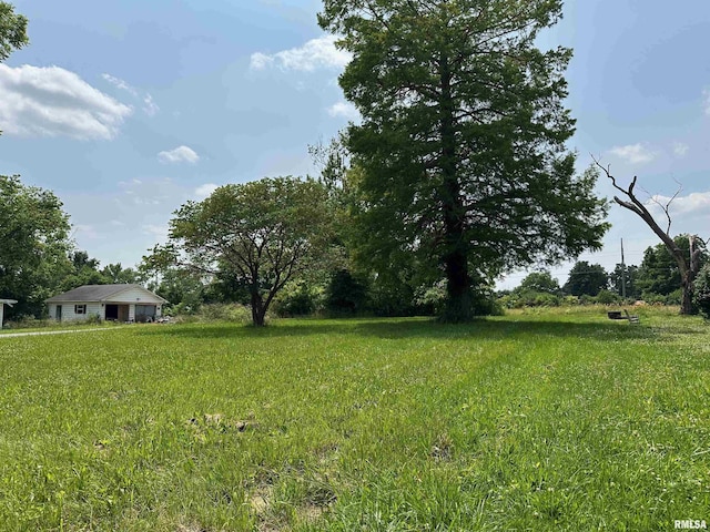 301 N Chestnut St, Christopher, IL 62822 - photo 11