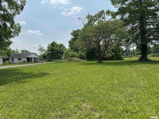 301 N Chestnut St, Christopher, IL 62822 - photo 8
