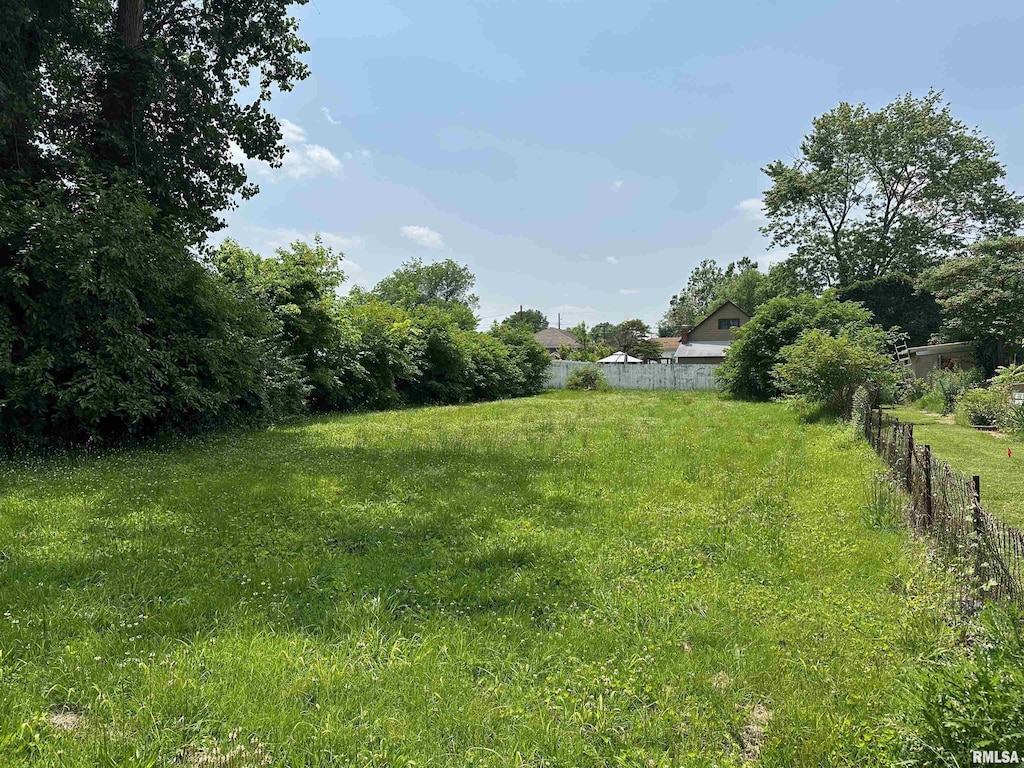 703 N Victor St, Christopher, IL 62822 - photo 1