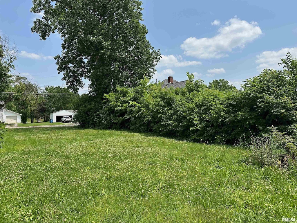 703 N Victor St, Christopher, IL 62822 - photo 3