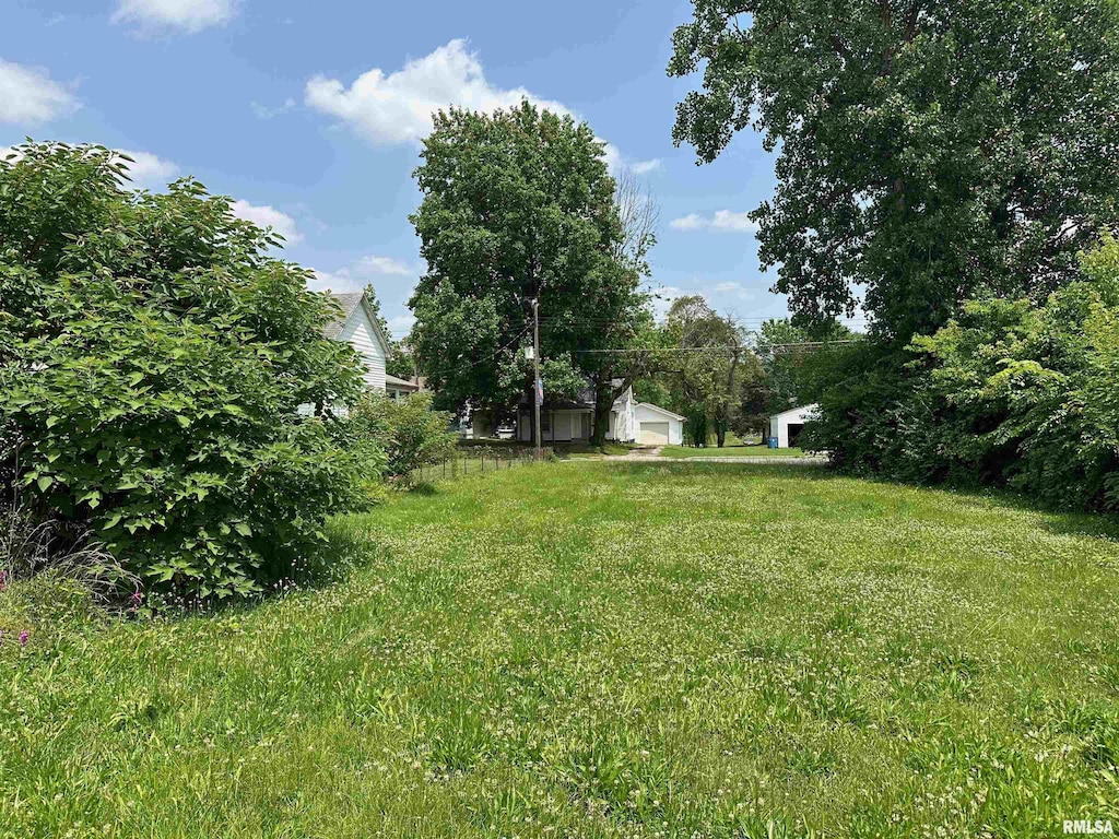 703 N Victor St, Christopher, IL 62822 - photo 4