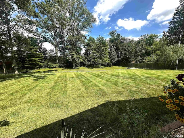 507 Sable Dr, Centralia, IL 62801 - photo 33